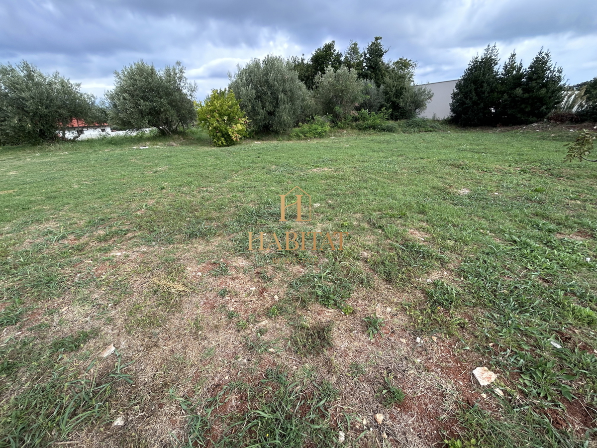Istria, Zambratija, terreno edificabile 680m2, utenze pagate, progetto