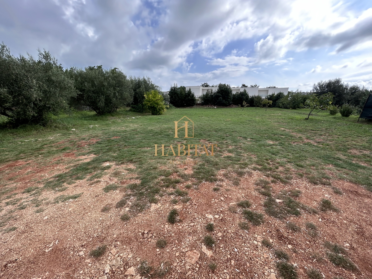 Istria, Zambratija, terreno edificabile 680m2, utenze pagate, progetto
