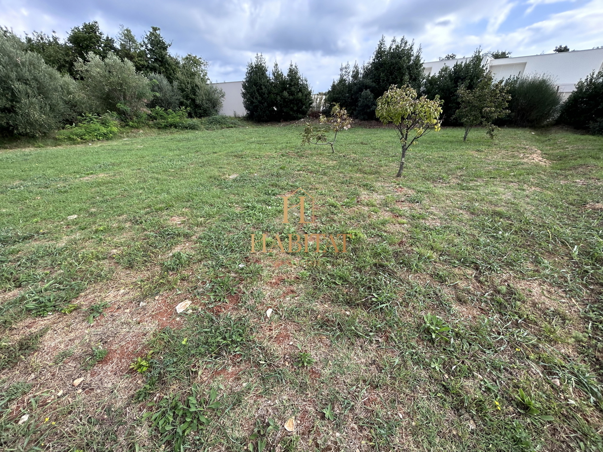 Istria, Zambratija, terreno edificabile 680m2, utenze pagate, progetto