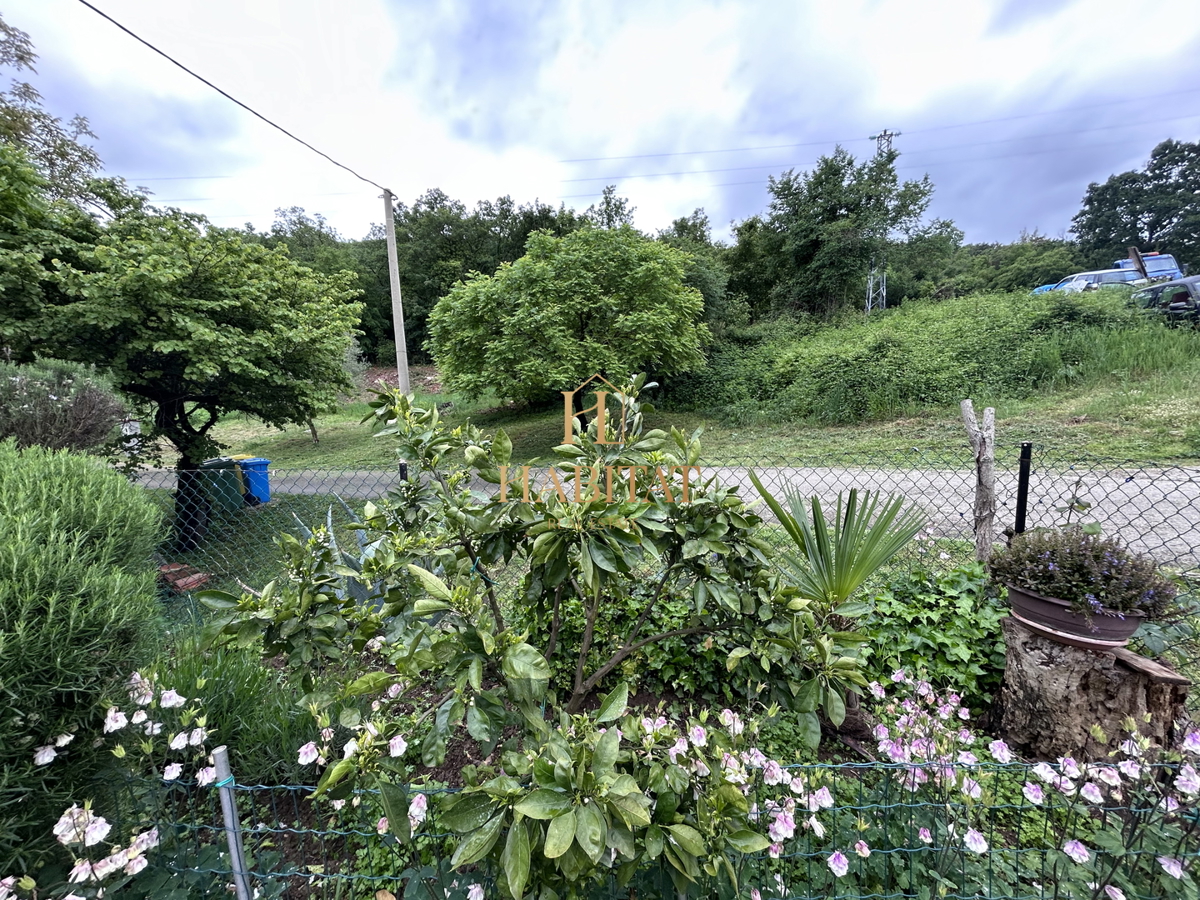 Istria, Plovania, casa doppia su un terreno edificabile di 721m2, 18857m2 di terreno agricolo, bosco