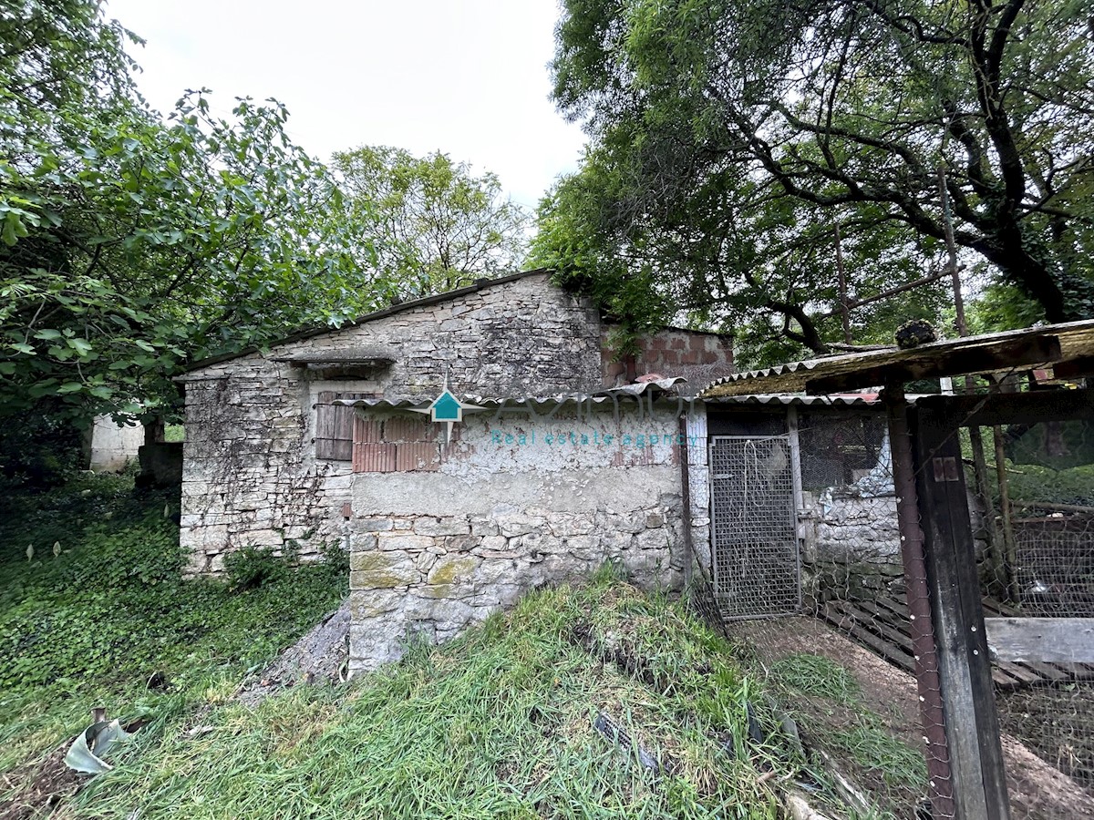 Istria, Plovania, casa doppia su un terreno edificabile di 721m2, 18857m2 di terreno agricolo, bosco