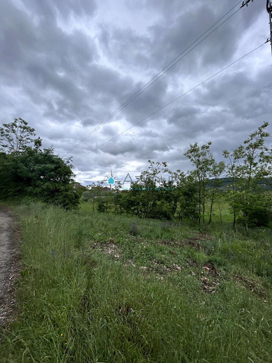 Istria, Plovania, casa doppia su un terreno edificabile di 721m2, 18857m2 di terreno agricolo, bosco