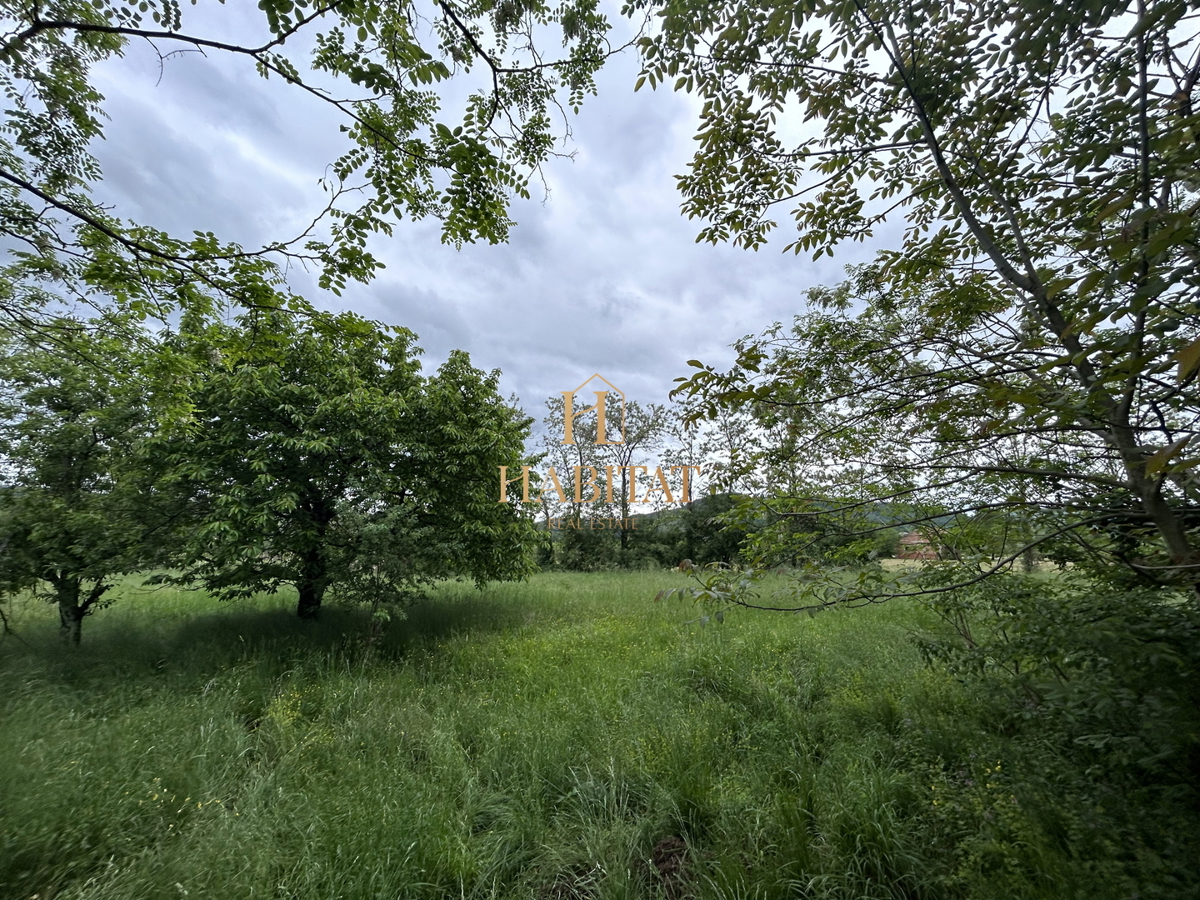 Istria, Plovania, casa doppia su un terreno edificabile di 721m2, 18857m2 di terreno agricolo, bosco