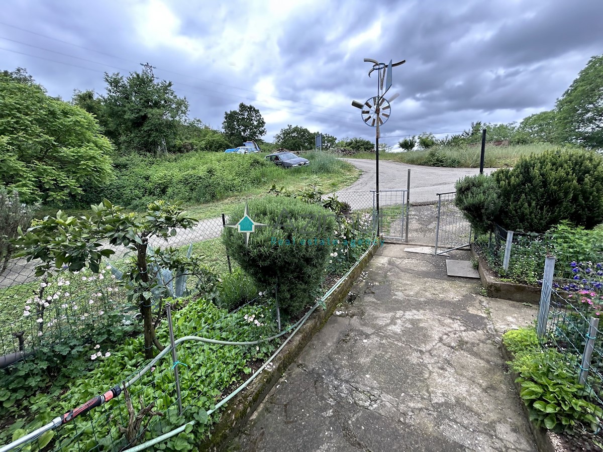 Istria, Plovania, casa doppia su un terreno edificabile di 721m2, 18857m2 di terreno agricolo, bosco