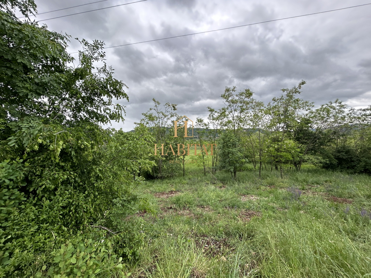 Istria, Plovania, casa doppia su un terreno edificabile di 721m2, 18857m2 di terreno agricolo, bosco