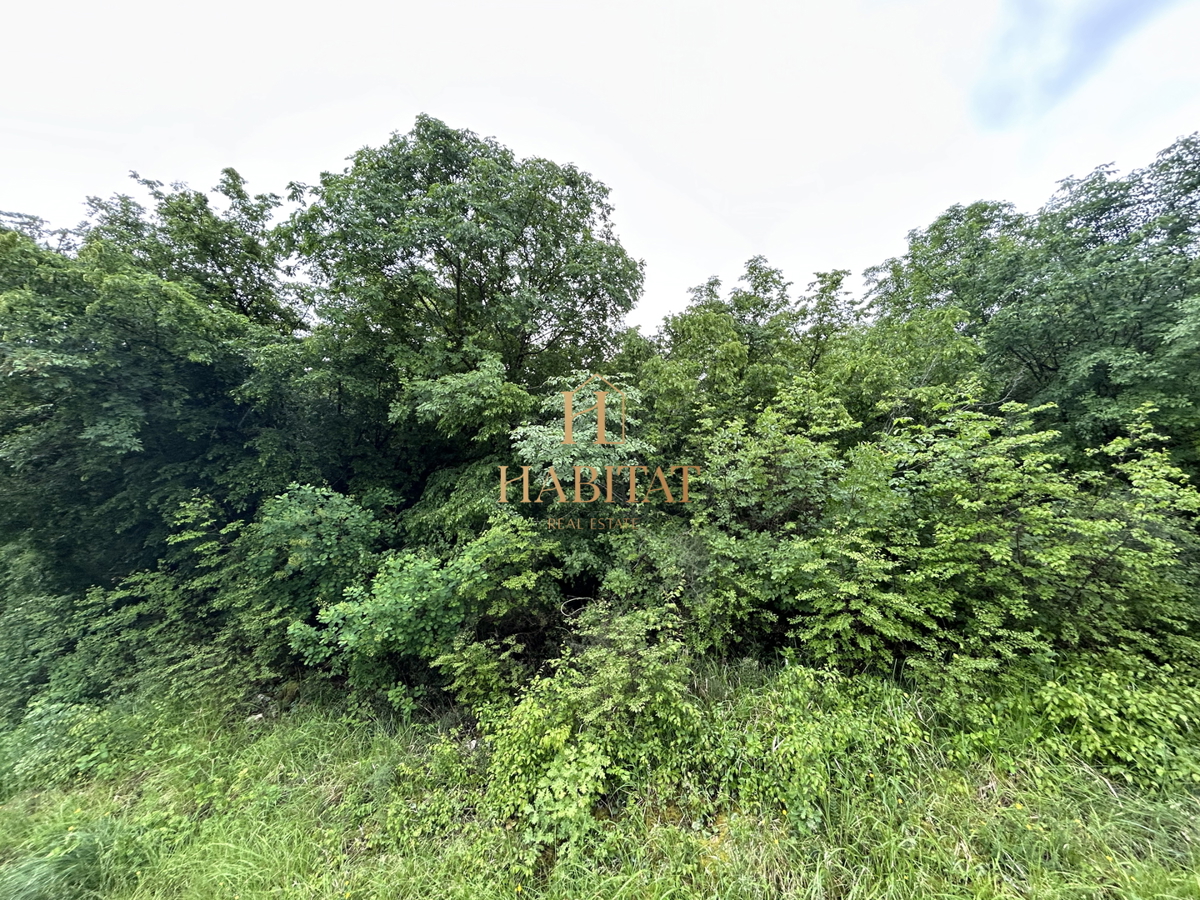 Istria, Plovania, casa doppia su un terreno edificabile di 721m2, 18857m2 di terreno agricolo, bosco
