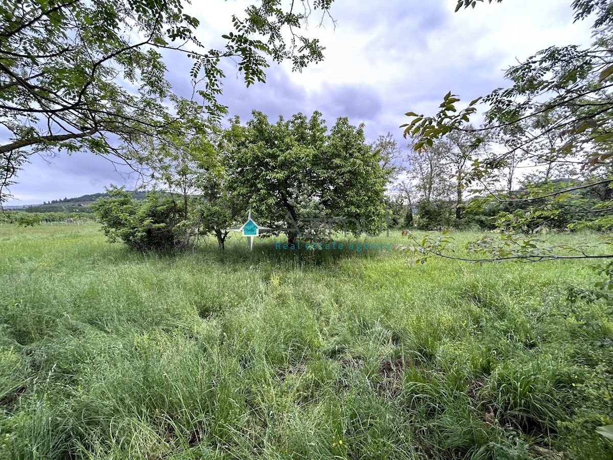 Istria, Plovania, casa doppia su un terreno edificabile di 721m2, 18857m2 di terreno agricolo, bosco