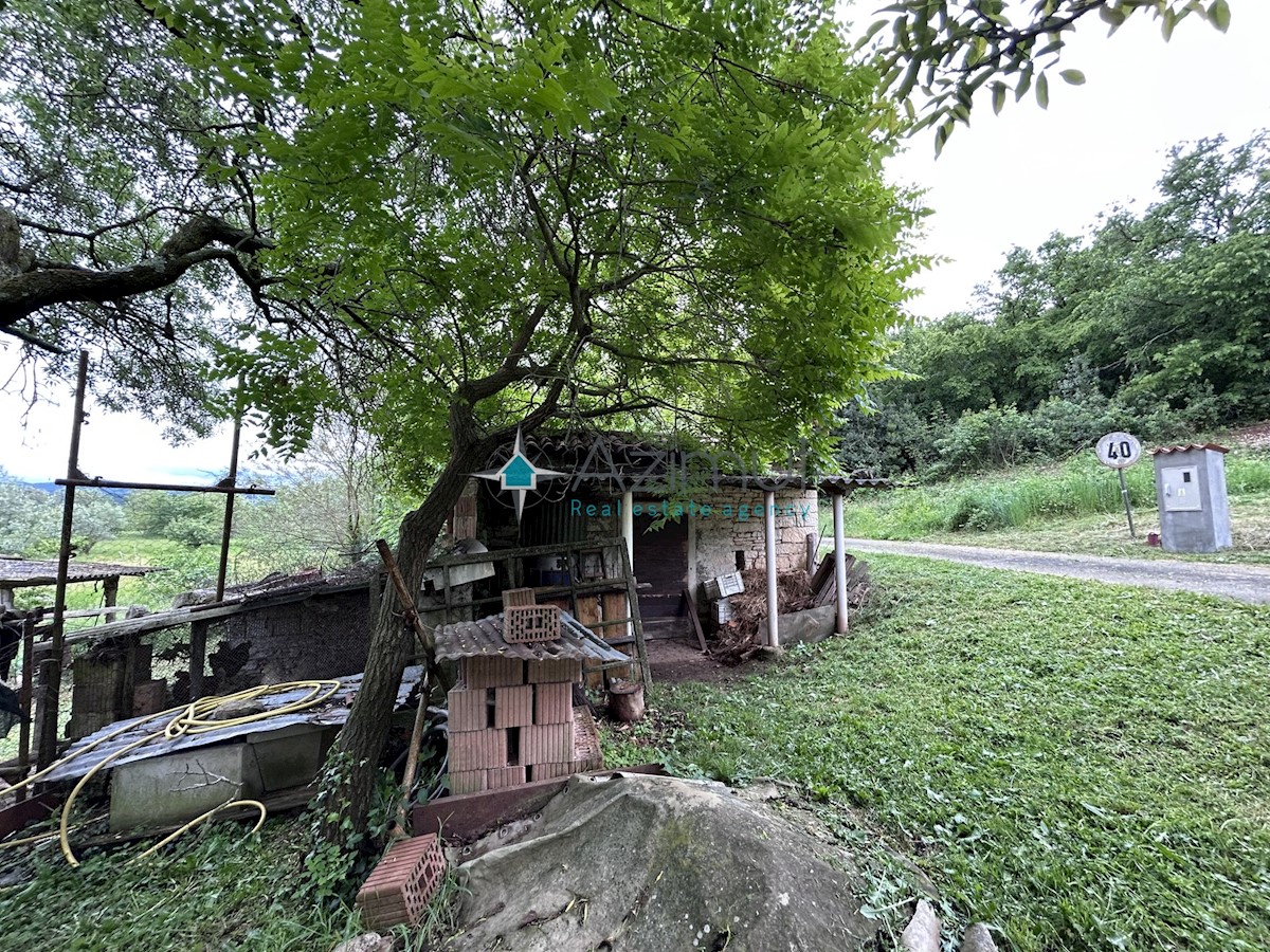 Istria, Plovania, casa doppia su un terreno edificabile di 721m2, 18857m2 di terreno agricolo, bosco