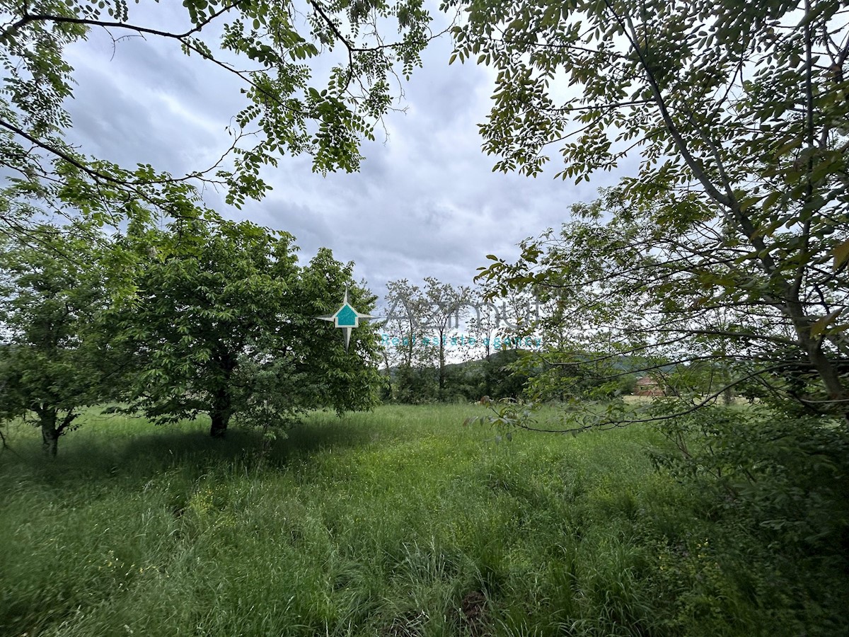 Istria, Plovania, casa doppia su un terreno edificabile di 721m2, 18857m2 di terreno agricolo, bosco