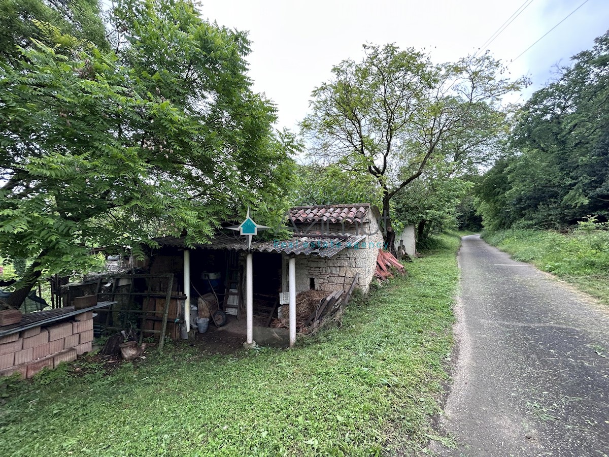 Istria, Plovania, casa doppia su un terreno edificabile di 721m2, 18857m2 di terreno agricolo, bosco