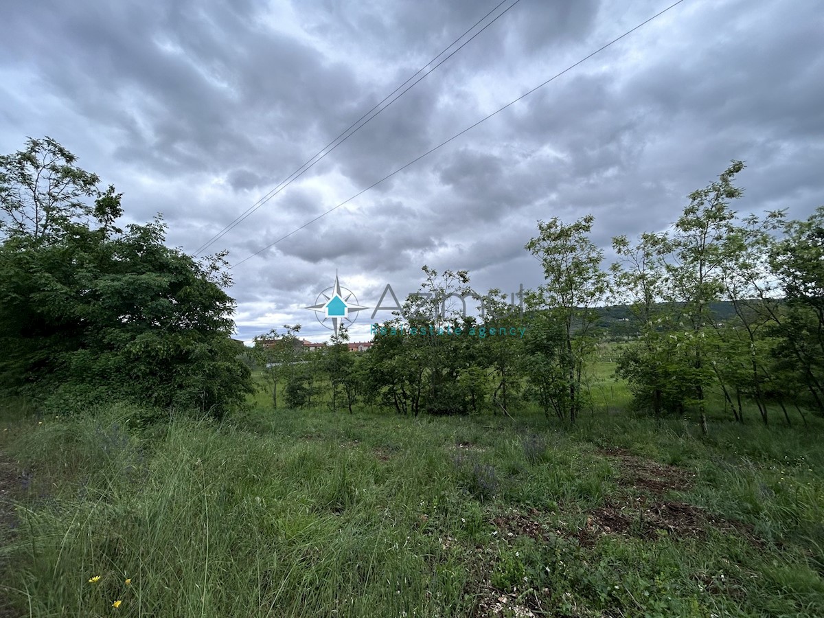 Istria, Plovania, casa doppia su un terreno edificabile di 721m2, 18857m2 di terreno agricolo, bosco