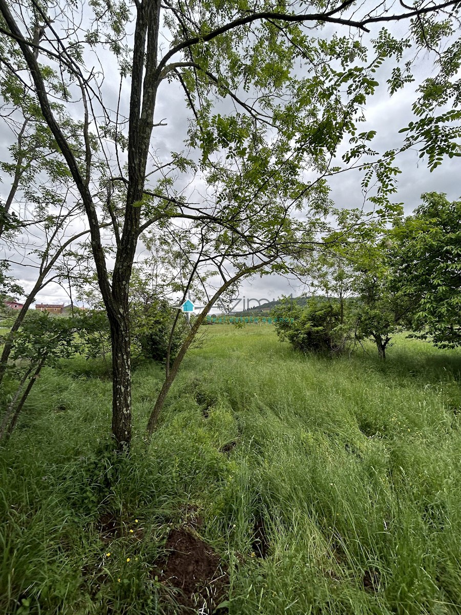 Istria, Plovania, casa doppia su un terreno edificabile di 721m2, 18857m2 di terreno agricolo, bosco