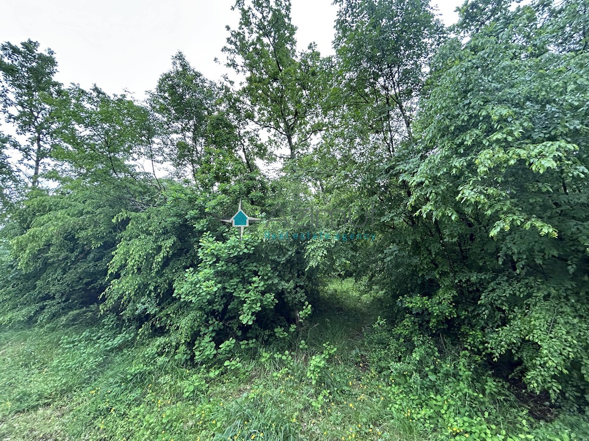 Istria, Plovania, casa doppia su un terreno edificabile di 721m2, 18857m2 di terreno agricolo, bosco