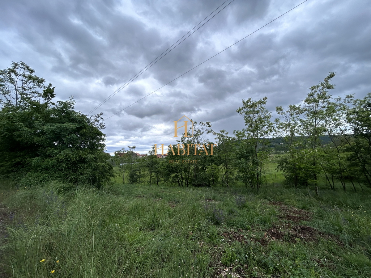 Istria, Plovania, casa doppia su un terreno edificabile di 721m2, 18857m2 di terreno agricolo, bosco