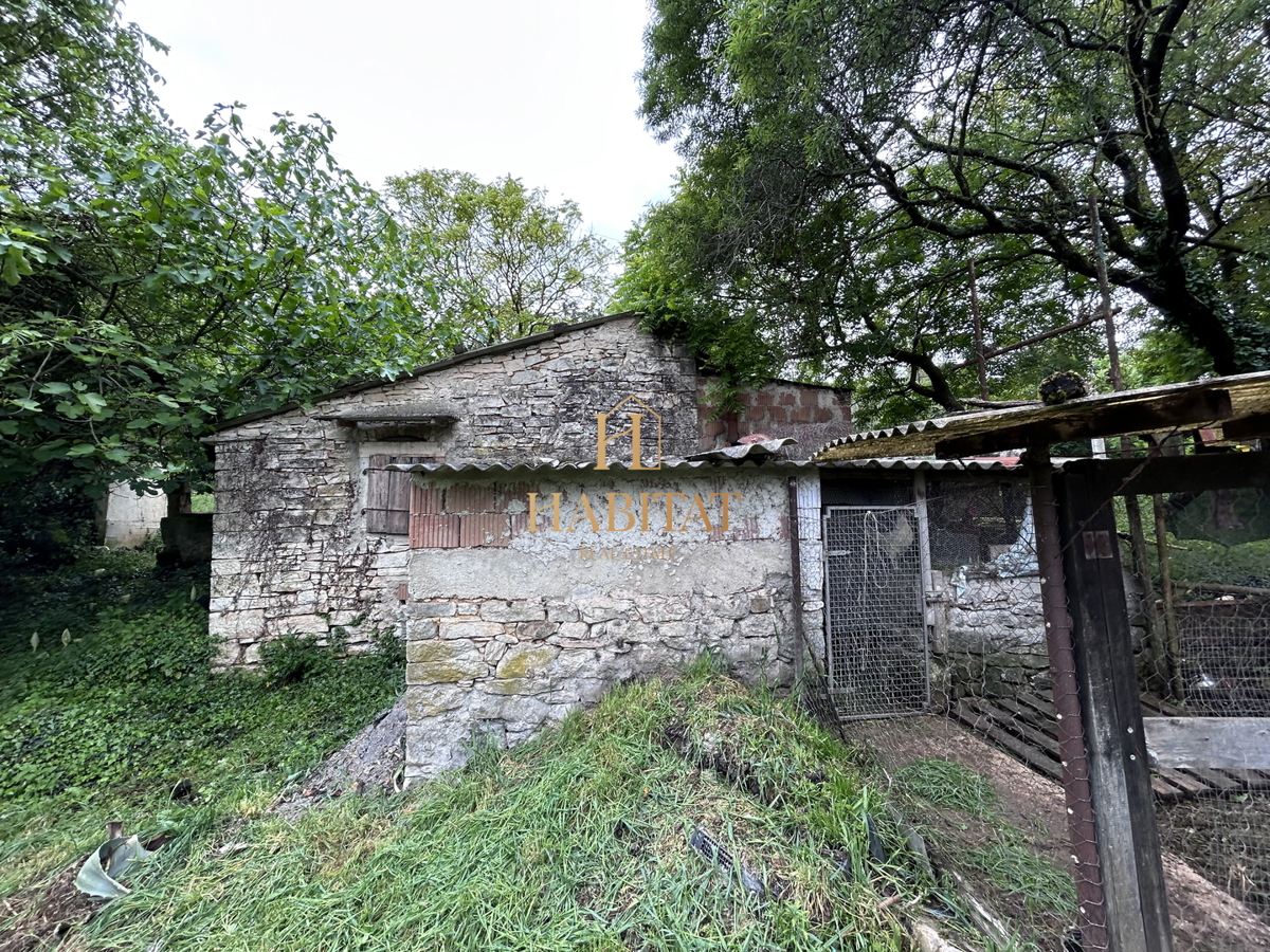 Istria, Plovania, casa doppia su un terreno edificabile di 721m2, 18857m2 di terreno agricolo, bosco