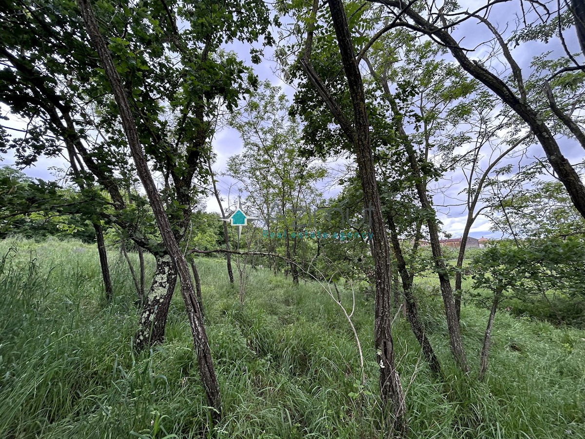 Istria, Plovania, casa doppia su un terreno edificabile di 721m2, 18857m2 di terreno agricolo, bosco