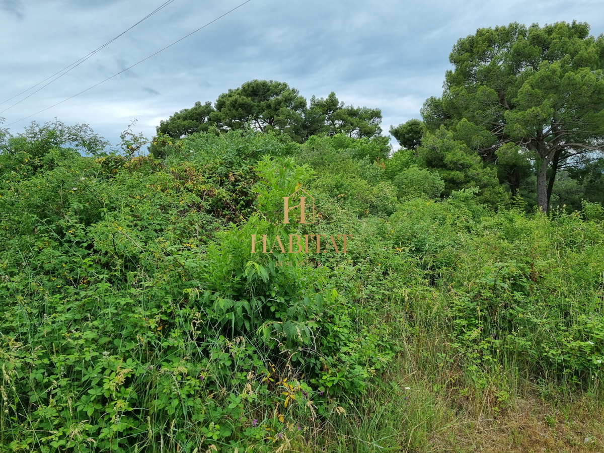 Istria, Buje, Kastel, terreno edificabile 872m2, vista mare
