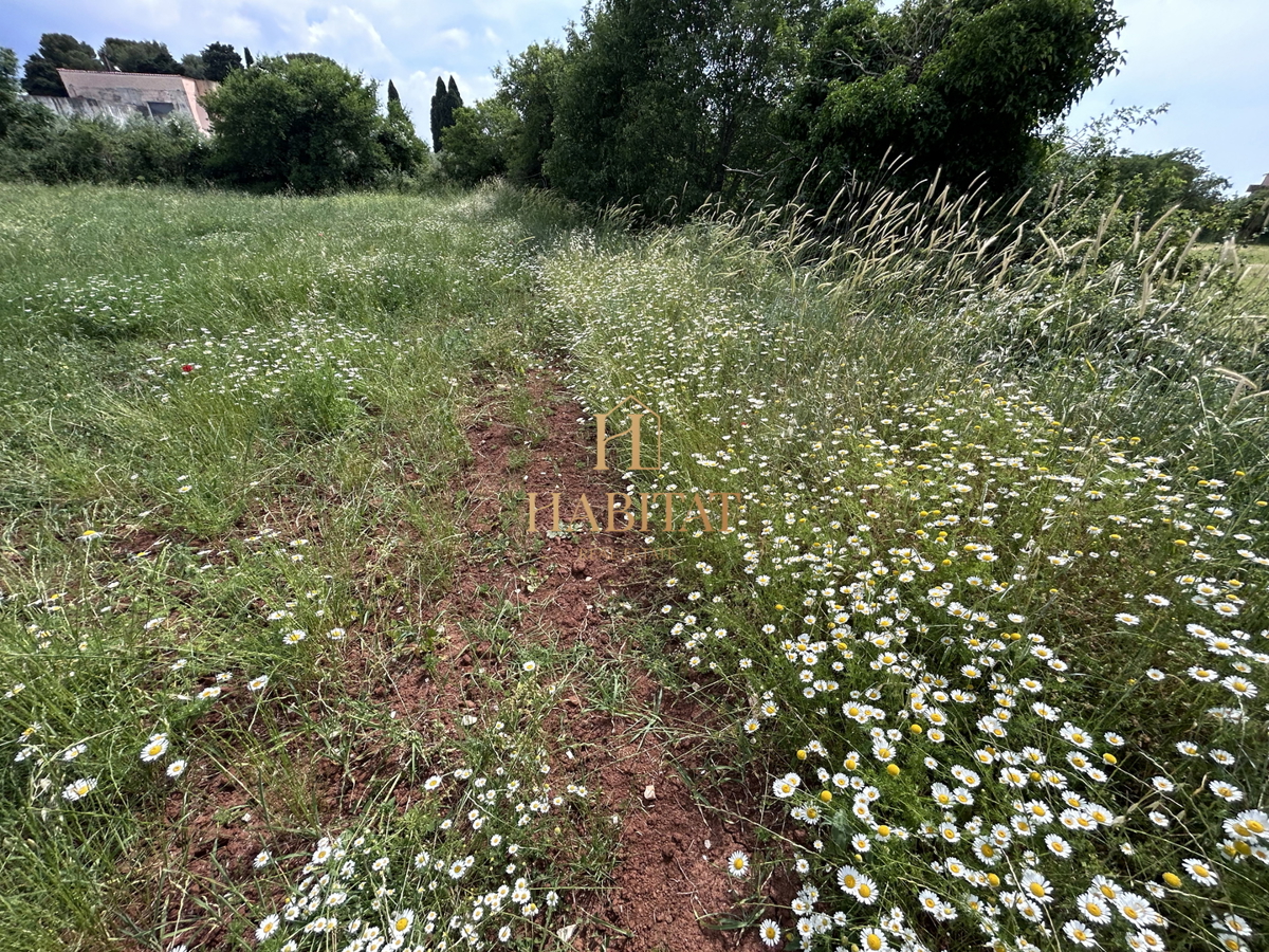 Istria, Dignano, terreno edificabile 12642m2, zona residenziale e commerciale, centro, vista