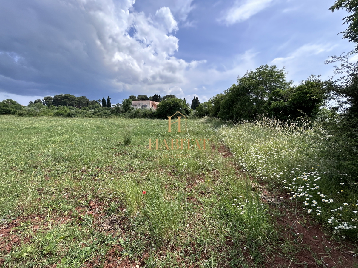 Istria, Dignano, terreno edificabile 12642m2, zona residenziale e commerciale, centro, vista