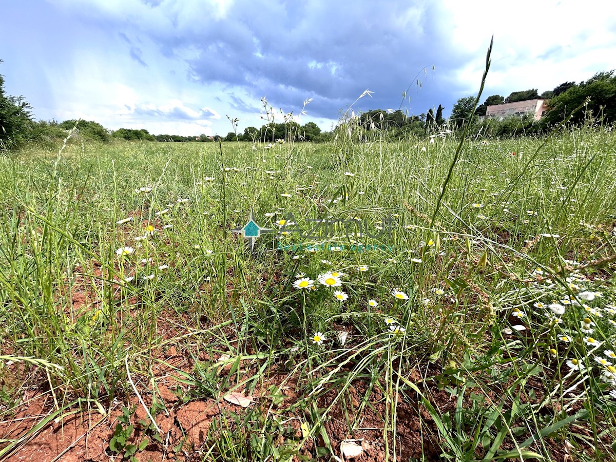 Istria, Dignano, terreno edificabile 12642m2, zona residenziale e commerciale, centro, vista