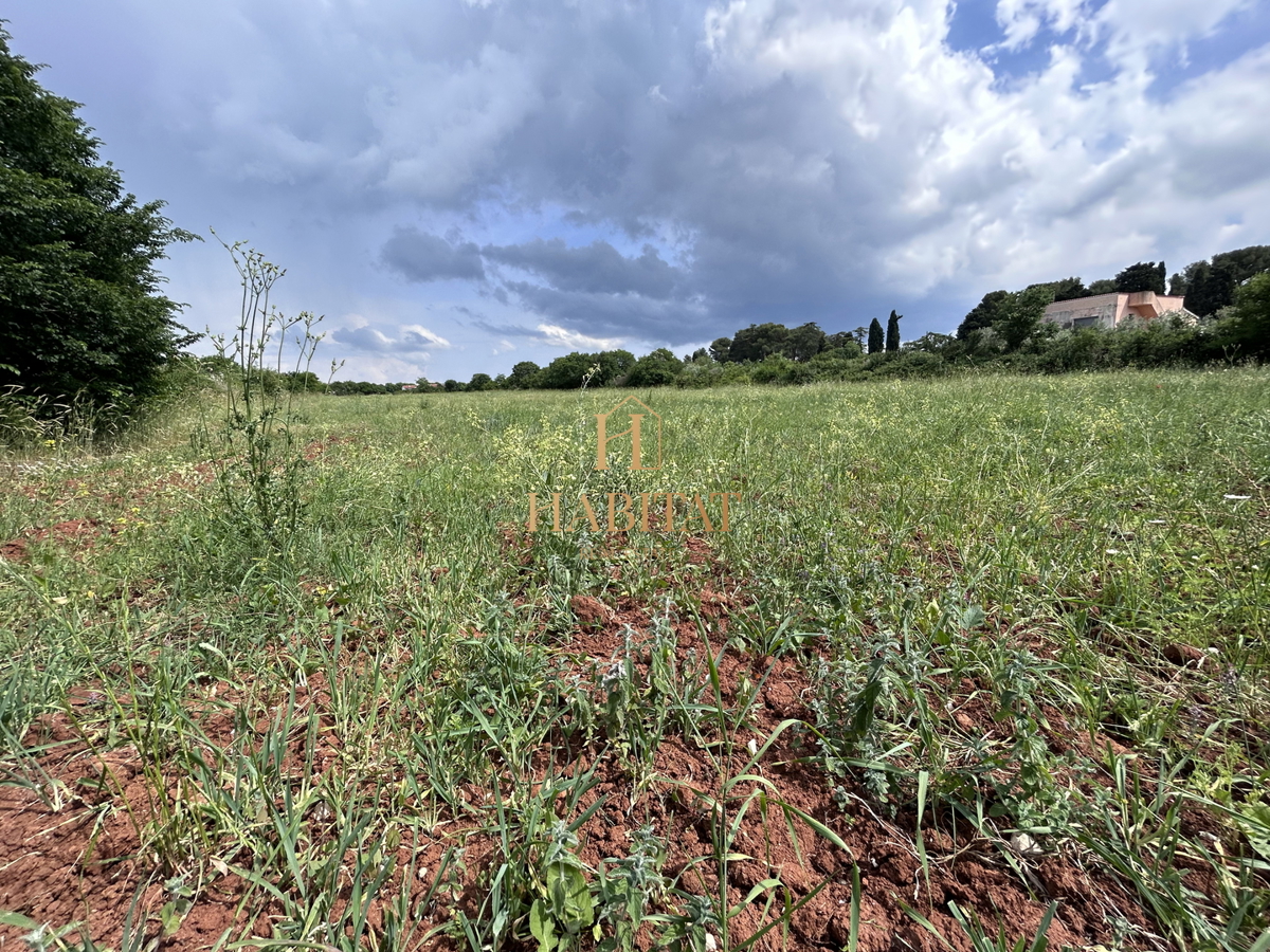 Istria, Dignano, terreno edificabile 12642m2, zona residenziale e commerciale, centro, vista