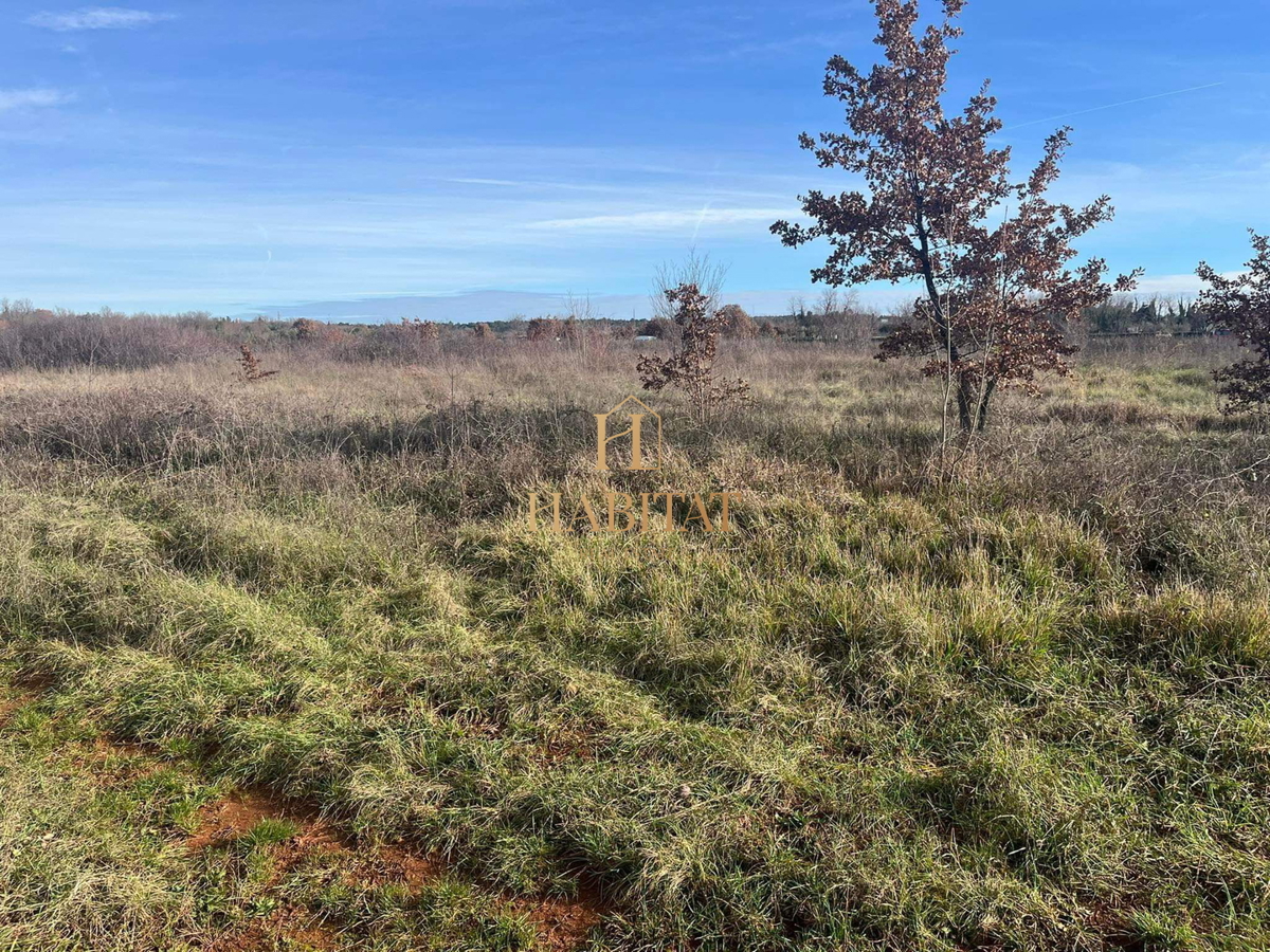Istria, Umago, terreno edificabile 3000 m2