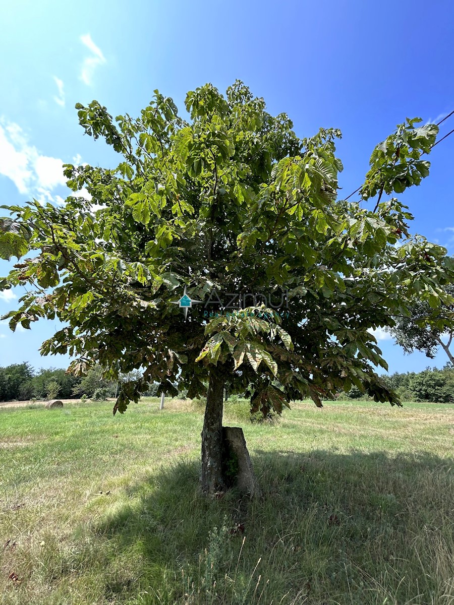 Istria, Zminj, Sostari, terreno edificabile 2201m2, elettricità, acqua, villa per le vacanze