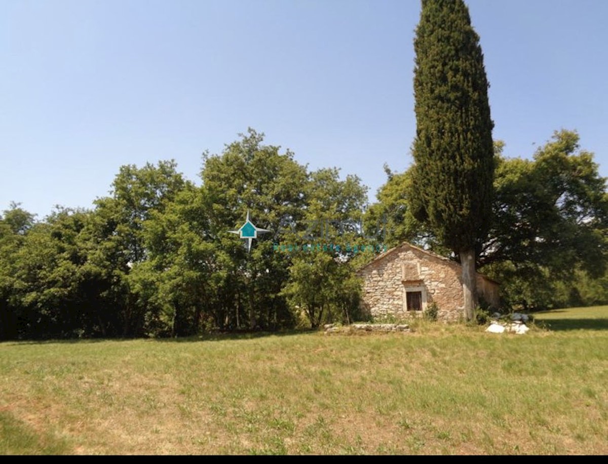 Istria, Gimino, terreno edificabile 20000m2