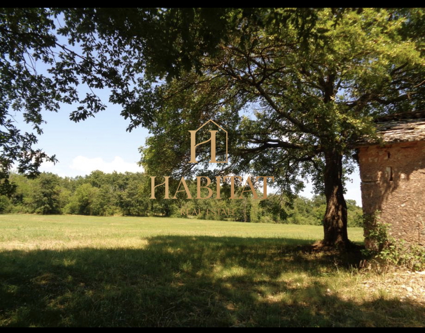 Istria, Gimino, terreno edificabile 20000m2