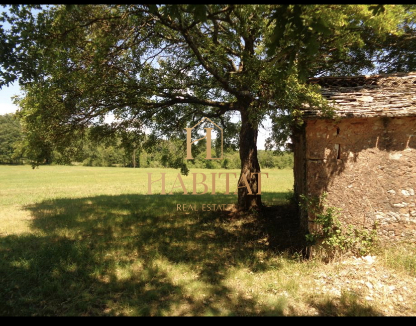 Istria, Gimino, terreno edificabile 20000m2