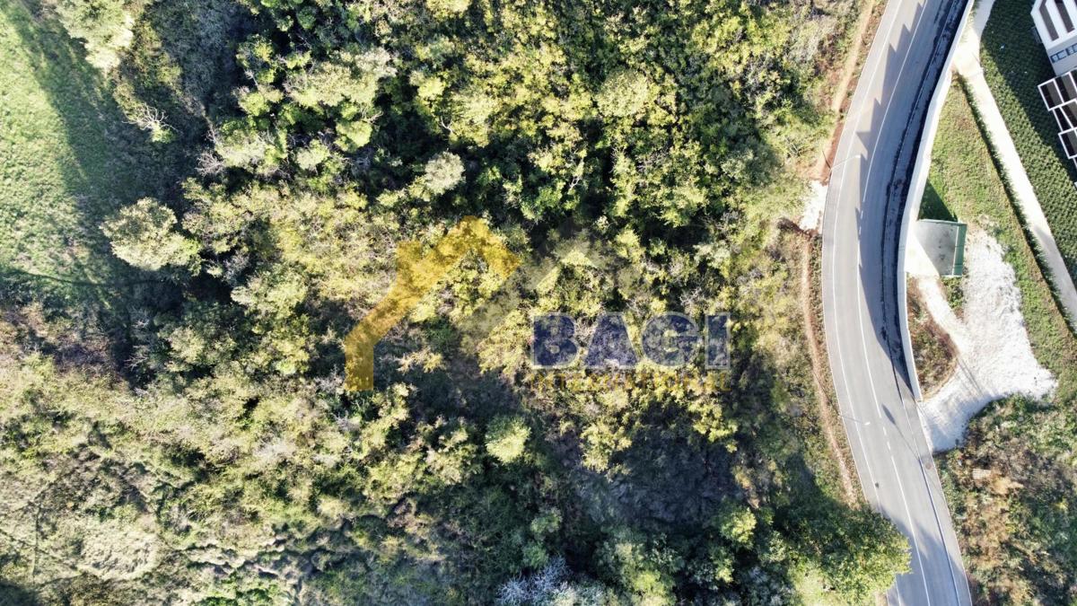 ESCLUSIVO - atterra in una posizione unica!