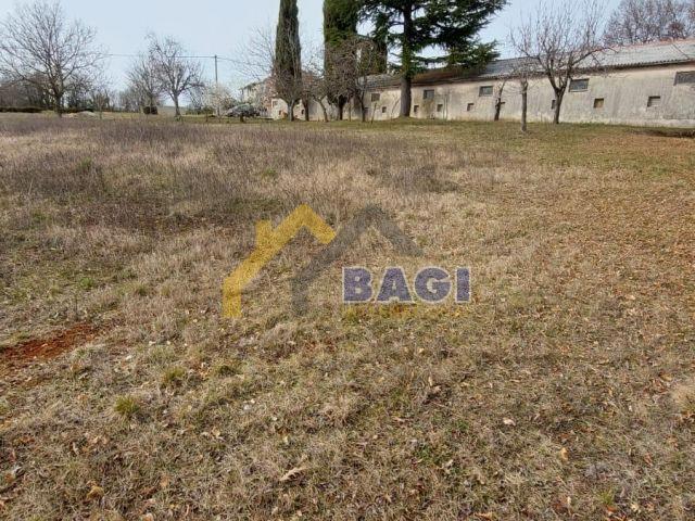 Žminj Terreno edificabile 1246m2 con acqua ed elettricità