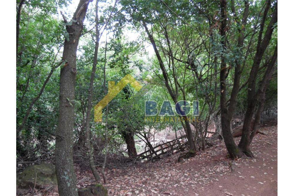 Terreni agricoli Vodnjan, 67.054m2