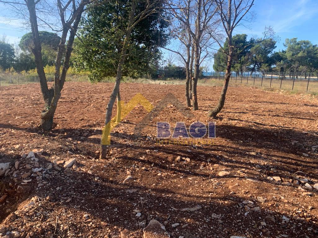 Fasana-Terreno agricolo a 50 metri dal mare