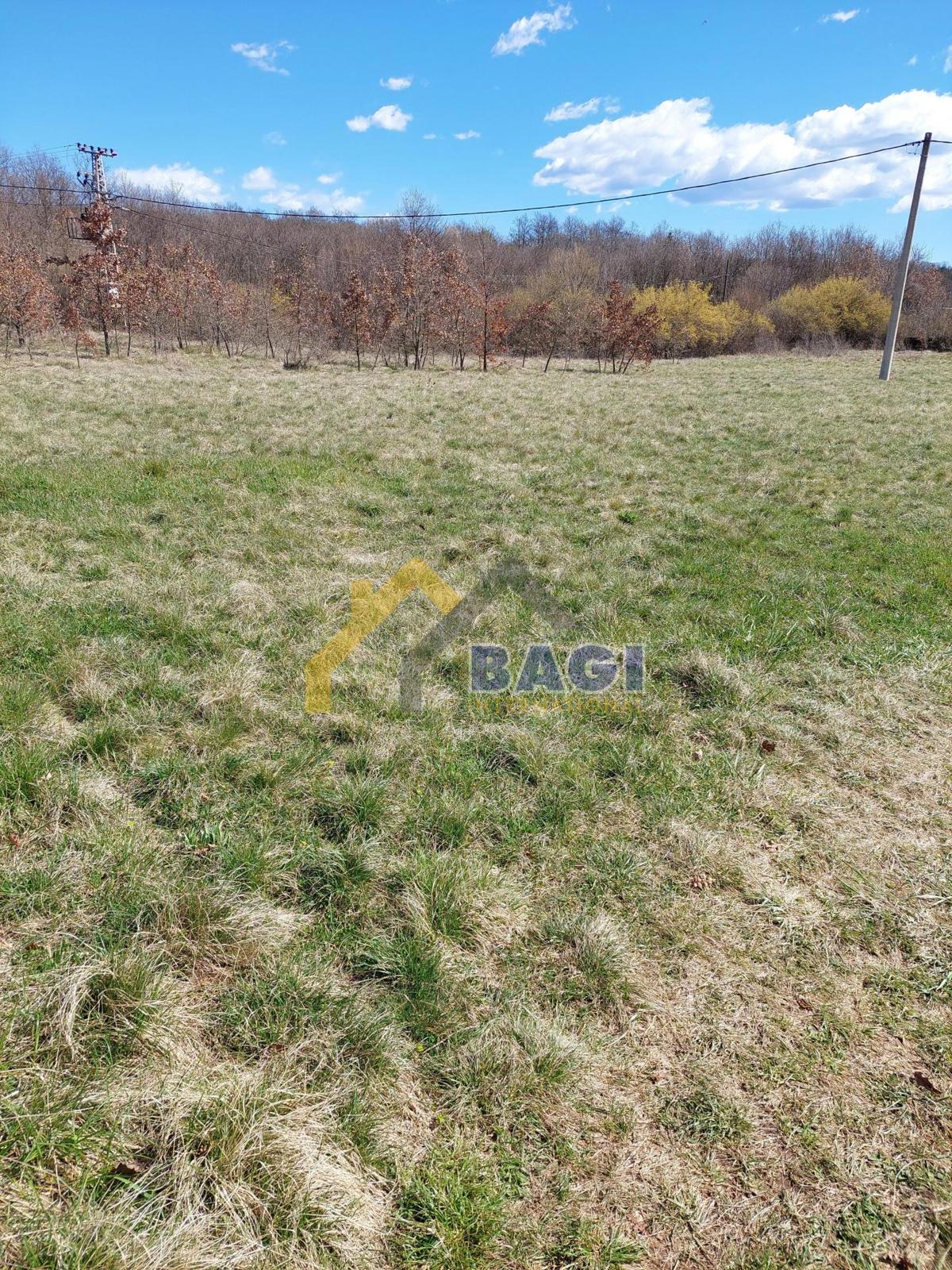 Terreno edificabile Barban, 3.007m2