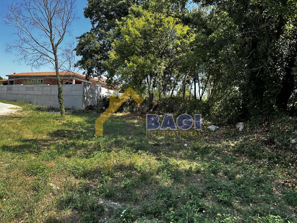 PROGETTO PIANO TERRA CON PERMESSO PRONTO!