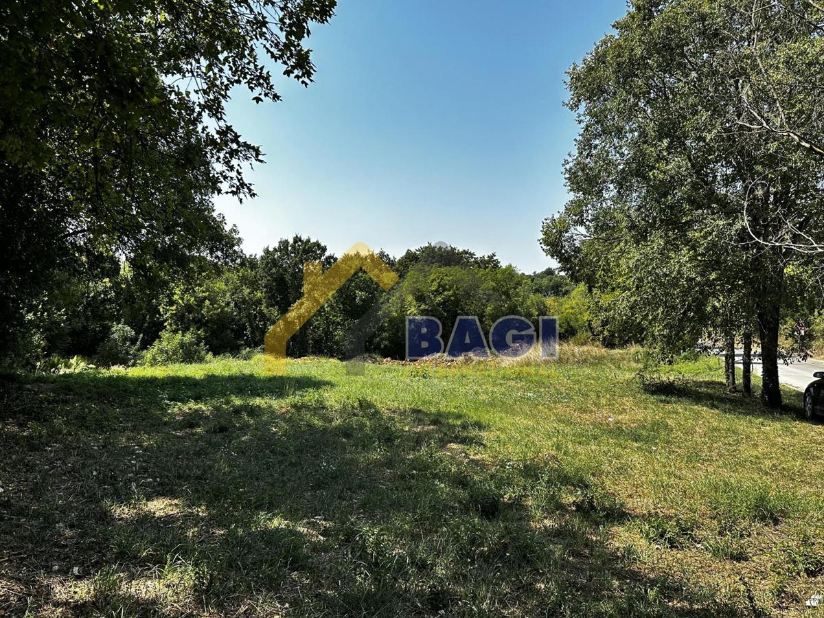 PROGETTO PIANO TERRA CON PERMESSO PRONTO!