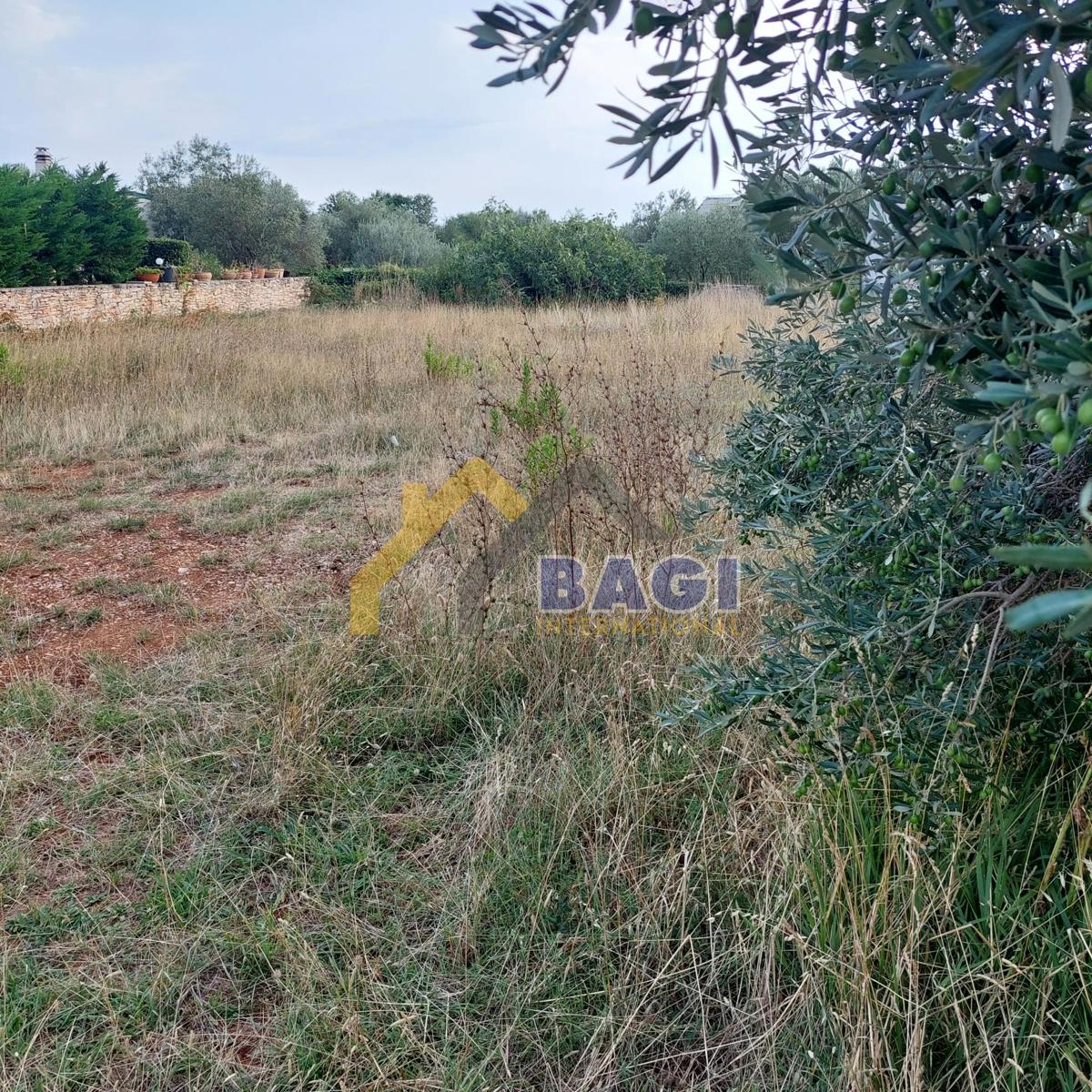 Vendesi-Terreno edificabile Peroj-infrastruttura completa