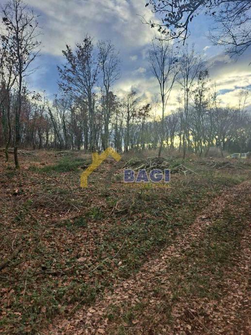 TERRENO EDIFICABILE – KRINGA 1.150 m²