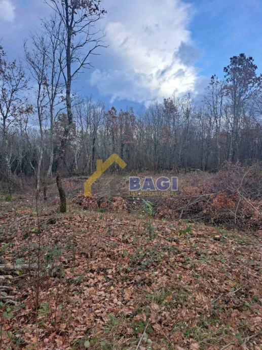 TERRENO EDIFICABILE – KRINGA 1.150 m²