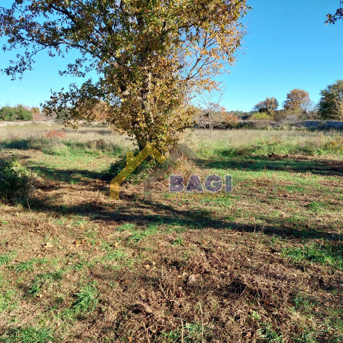 POSIZIONE ECCEZIONALE - Terreno edificabile con vista mare!!