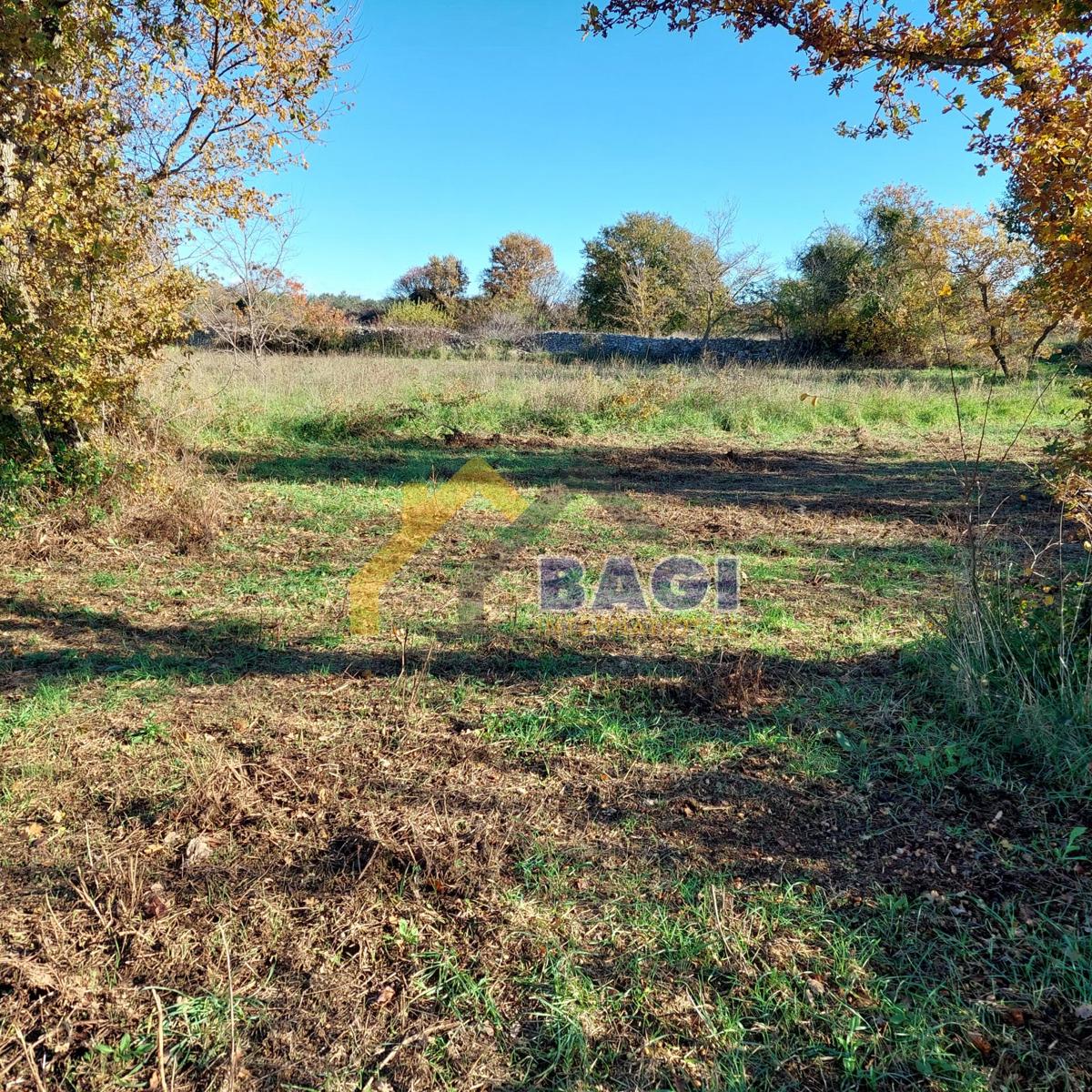 POSIZIONE ECCEZIONALE - Terreno edificabile con vista mare!!