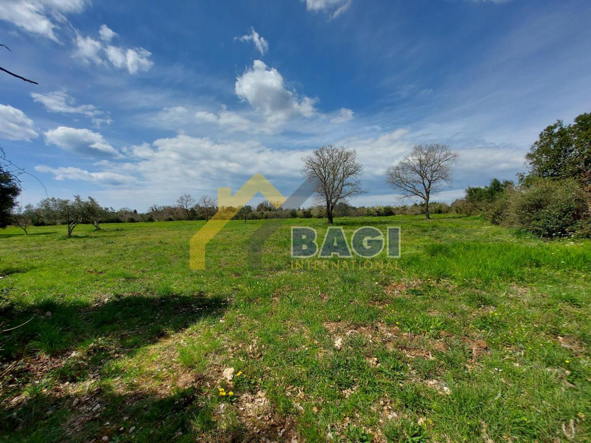 Terreni agricoli Rovinj, 4.732m2