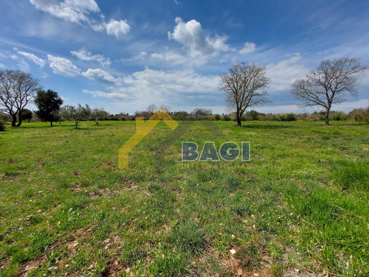 Terreni agricoli Rovinj, 4.732m2
