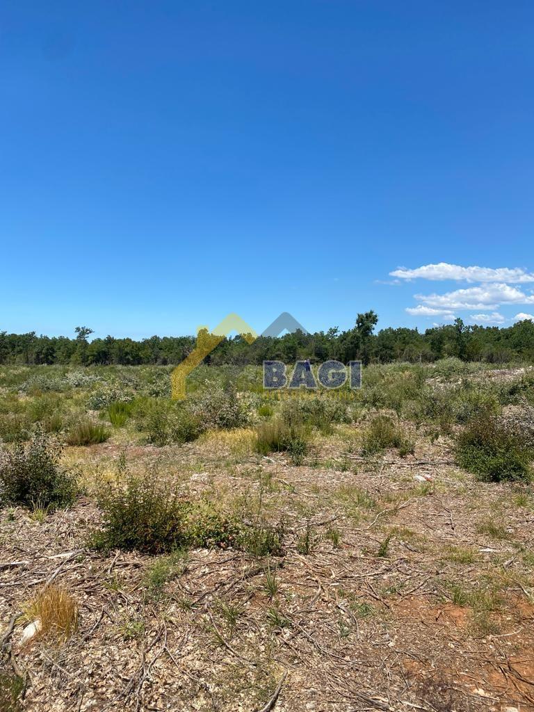 Terreni agricoli Bale, 42.074m2