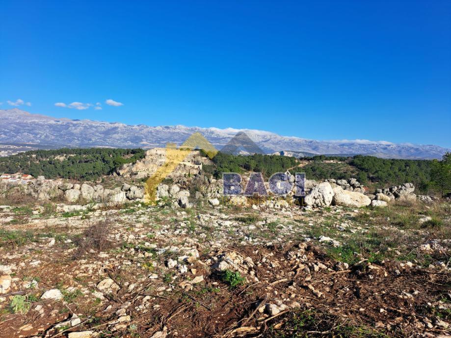 Terreno edificabile Novigrad, 4.076m2