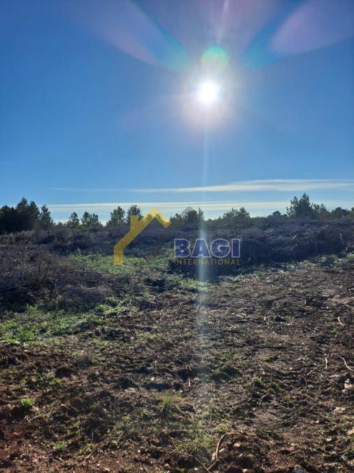 Terreno edificabile Novigrad, 4.076m2
