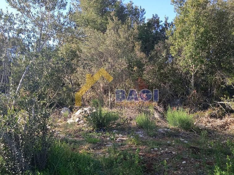 Terreno edificabile Pašman, 3.000m2