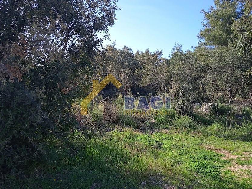 Terreno edificabile Pašman, 3.000m2