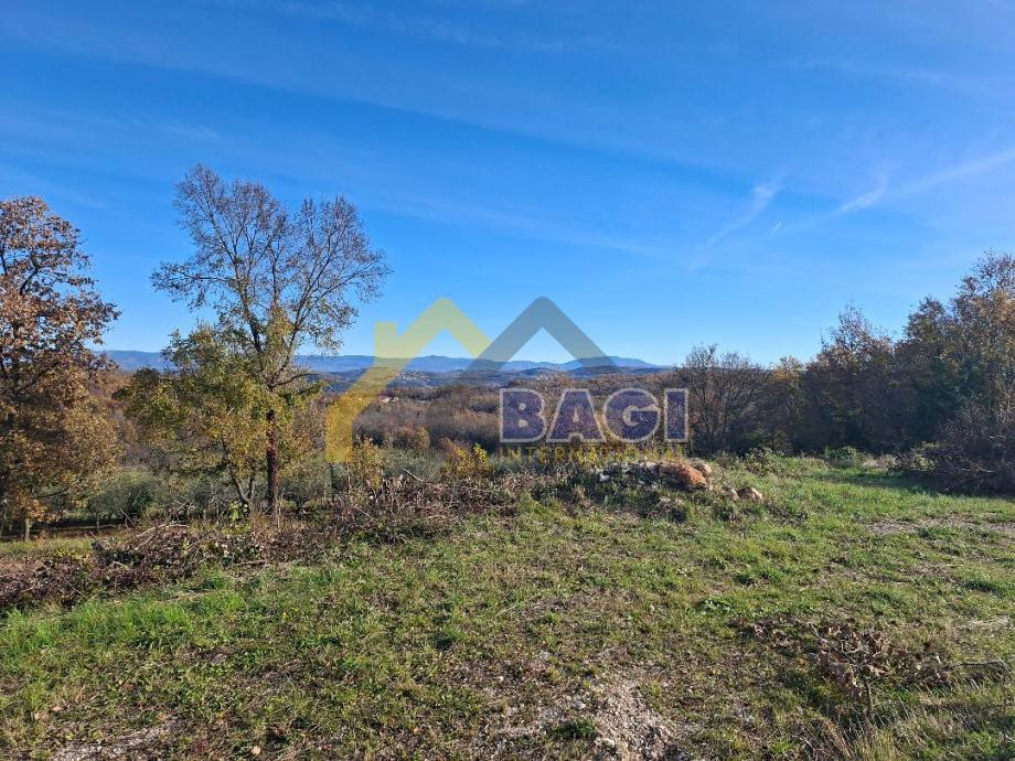 Terreno con Permesso di Costruire – Vižinada